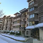 Jonquilles-15 By Interhome